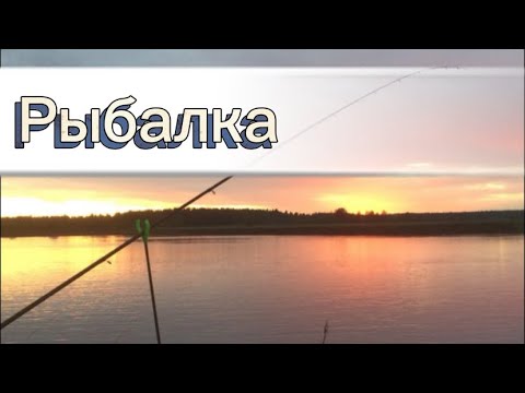 Видео: Рыбалка на фидор Речка Киржач ￼