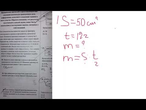 Видео: Ситуативные вопросы otk 26 октября.2025