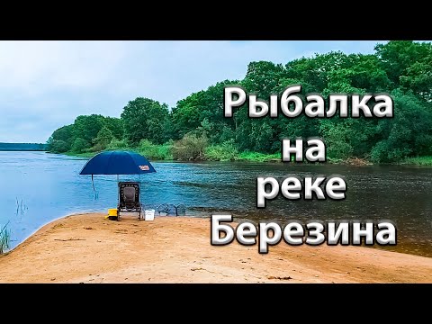 Видео: Рыбалка на реке Березина.