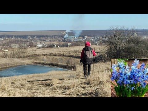 Видео: ПРОЛіСКИ В ЛіСі..?!🪻