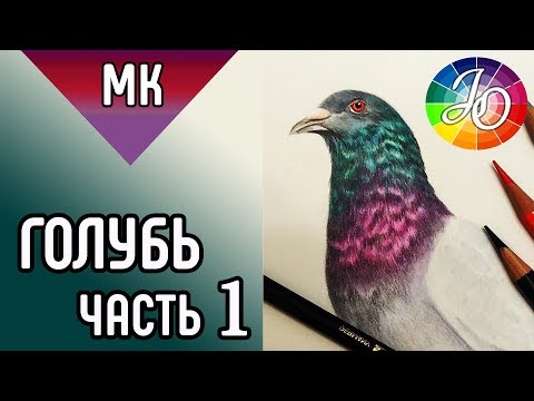 Видео: ГОЛУБЬ 👍✔ Как нарисовать птицу цветными карандашами (переливающиеся перья) / HowToDraw a pigeon