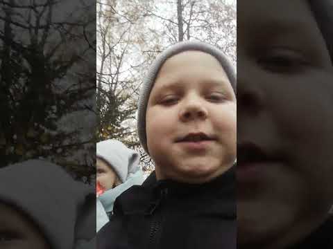 Видео: 3 ноября 2025 г.