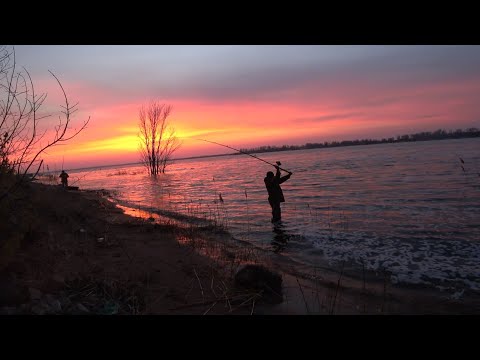 Видео: Рыбалка с Берега на Реке Ловля Голавля на Донку Закидушку