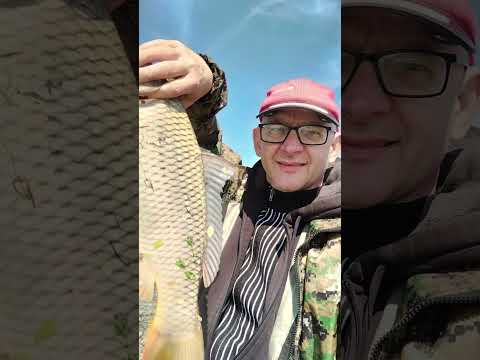 Видео: ДРУЗЕЙ СЕБЕ НАХОДИМ САМИ