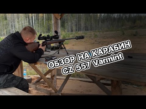 Видео: ОБЗОР НА ВИНТОВКУ CZ 557 Varmint| Карабин Чезет 557