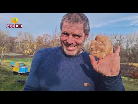 Видео: Комплекс для видобування перги від АВВ-100