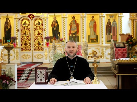 Видео: “Свет веры”  02.11.2025