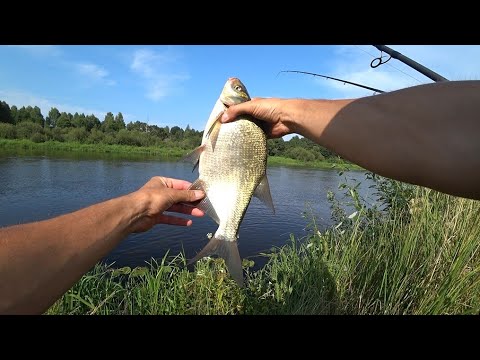 Видео: РАЗВЕДКА НОВЫХ МЕСТ С ФИДЕРОМ НА РЕКЕ БЕРЕЗИНА. ГОТОВИМ ВКУСНЯШКИ В КАЗАНЕ  И ОТЛИЧНО ПРОВОДИМ ВРЕМЯ