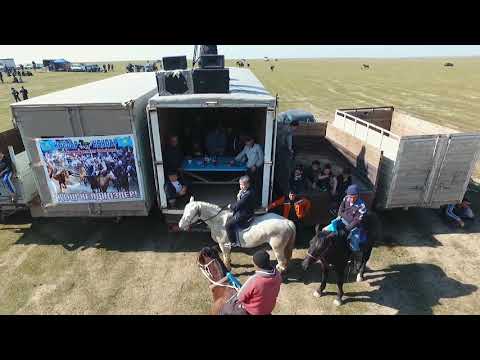 Видео: Көкпар Көкпар группасының көкпары
