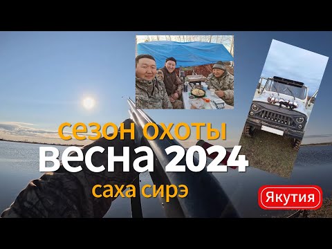 Видео: Весенняя охота на уток 2024 год. Сааскы кус