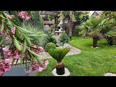 Видео: Вечнозеленый сад после -20, итоги вегетации