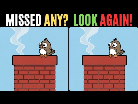 Видео: Найдите отличия! 🔍 Сможете найти все? 🧩👀 #294