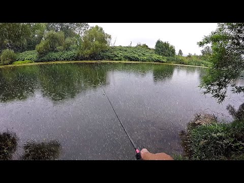 Видео: РІЧКОВИЙ ГОЛОВЕНЬ. РИБОЛОВЛЯ В ДОЩ ... 🐟🐟🐟