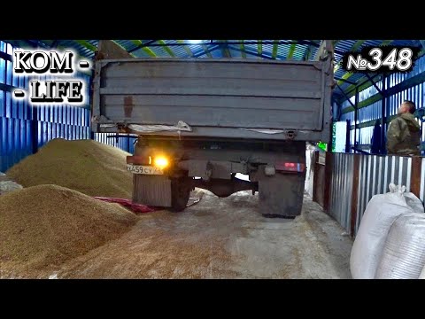Видео: Купил ячмень на 100 000 рублей