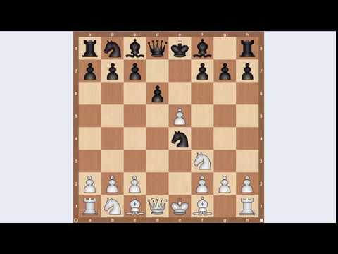 Видео: Защита Филидора простым языком