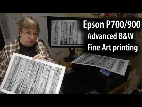 Видео: Epson P700 (и P900) — расширенная черно-белая художественная печать с использованием ABW и беспла...