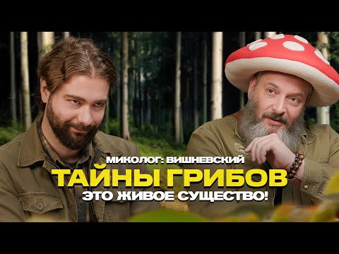 Видео: Тайна грибов - как они меняют мир и наше сознание? Миколог Михаил Вишневский