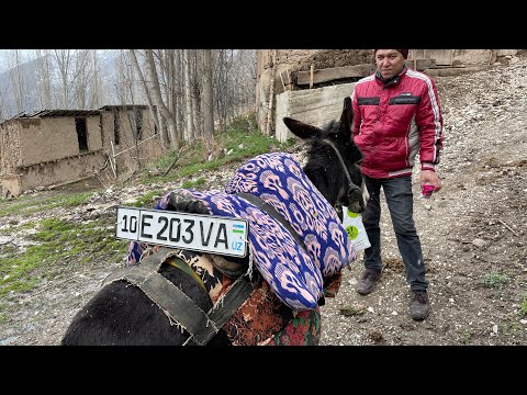 Видео: Горный кишлак Гелон!!!Узбекистан!!!