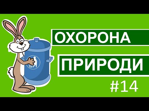 Видео: Пригоди лісових друзів – Охорона природи