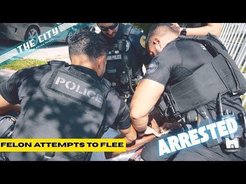 Видео: ГОРОД: Полицейский патруль Майами — Преступник пытается сбежать — Сезон 2, Эпизод 2