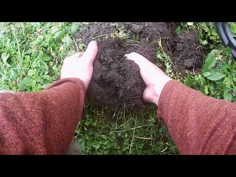 Видео: Поиск с MD 9020 C. Четыре монеты и крест.