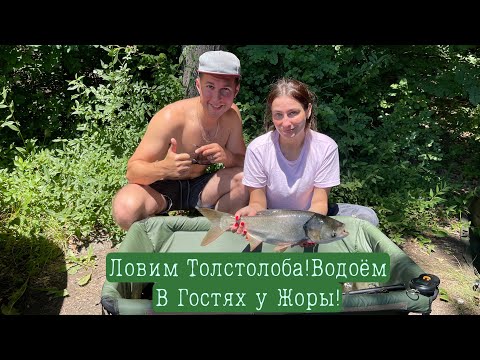 Видео: Ловим толстолоба. Ставок  «У дяди Жоры». Александровка-Долинское