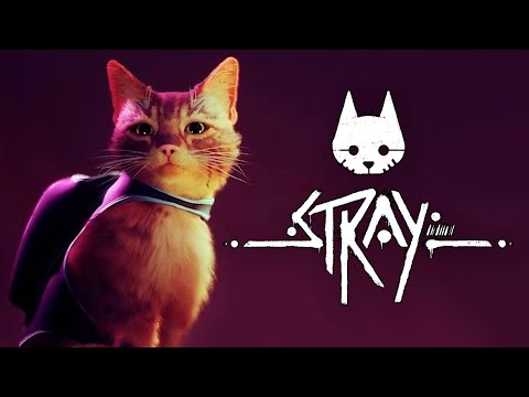 Видео: КОШАЧИЙ КИБЕРПАНК - БРЕЙН ИГРАЕТ В STRAY #2