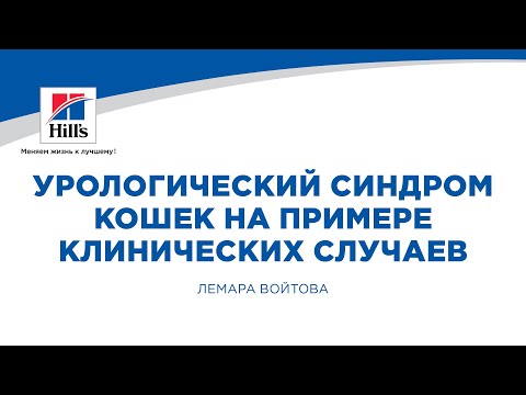 Видео: Вебинар на тему: “Урологический синдром кошек на примере клинических случаев”.