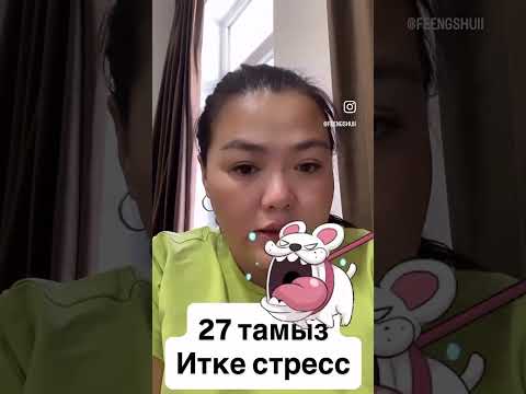 Видео: 27 августа 2025 г.