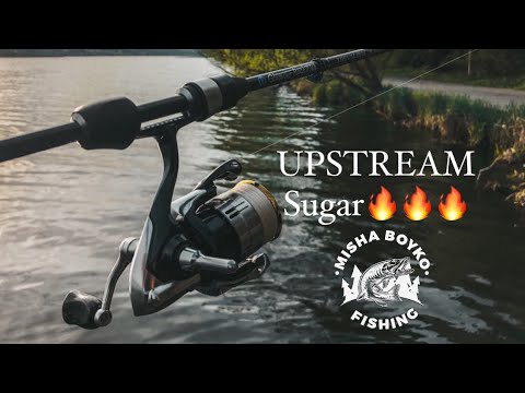 Видео: UPSTREAM SUGAR зробив риболовлю! Івачівські щучки в нерест!