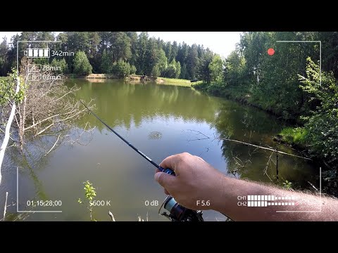 Видео: Судак не вышел. Поехал и согрешил с неправильной мормышкой.