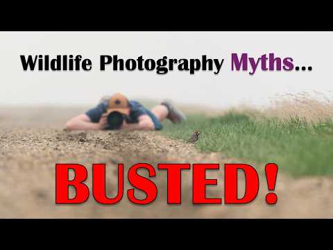 Видео: Развенчаны 5 мифов о фотографии дикой природы!