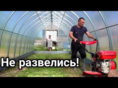 Видео: Как Обустроить Теплицу? Сколько и Каких Грядок Сделать?