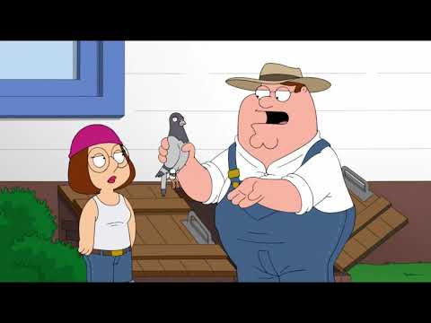 Видео: грифины лучшие моменты HD сборник нарезка # 6