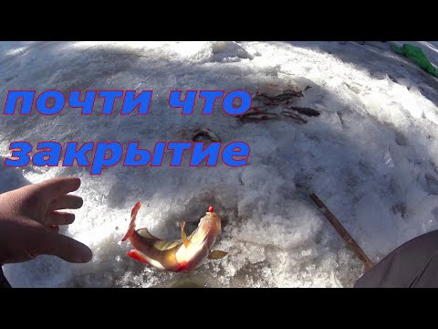 Видео: По таёжной реке в поисках рыбы. Рыбалка в апреле со льда.