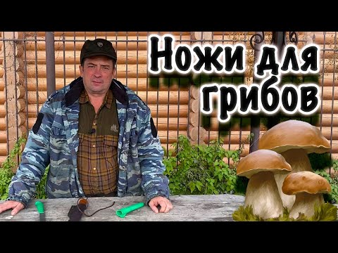 Видео: Мои ножи для грибов. Какой нож взять за грибами?