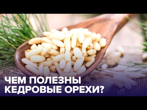 Видео: Почему полезно есть КЕДРОВЫЕ ОРЕХИ? Отвечает диетолог