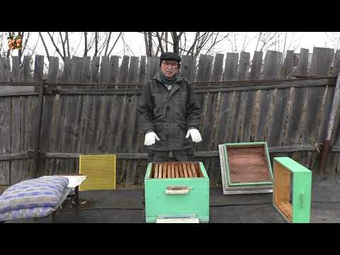 Видео: Как обеспечить хорошую зимовку в ульях ппс?!