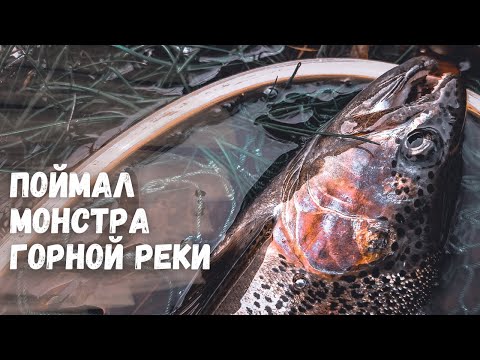 Видео: ФОРЕЛЕВАЯ РЫБАЛКА В ГОРАХ ТУРЦИИ! Монстр горной реки на ультралайт. Рыбалка в Турции 2023. Эпизод 1