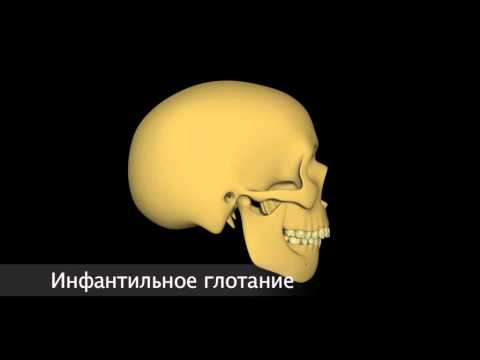 Видео: Потенциал роста в норме и при нарушениях