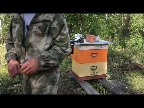 Видео: обработка от клеща сублиматором