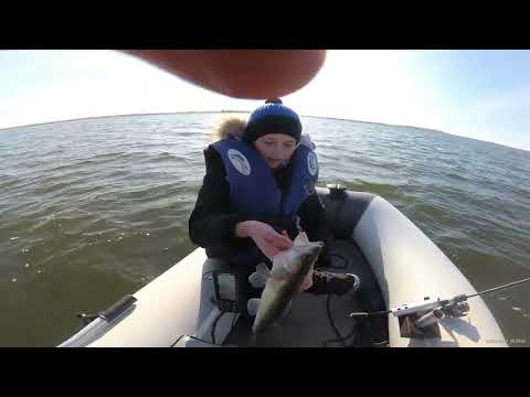 Видео: 30 октября 2025 г.