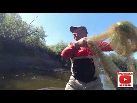 Видео: Рыбалка кастинговой сетью на новой реке.