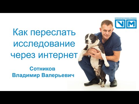 Видео: Как переслать исследование через интернет.