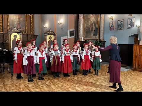 Видео: 29 жовтня 2025 р.