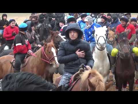 Видео: 14 01 2024 Арыс кокпар Нұрсұлтан мырза