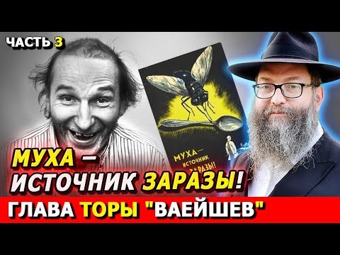 Видео: Главы Торы ВАЕЙШЕВ часть 3 | Комментарии к недельной главе | Лекции Байтмана