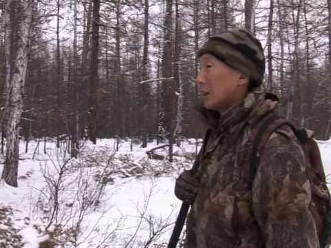 Видео: Охота на глухаря. Выпуск 98. Эфир от 28.02.12.