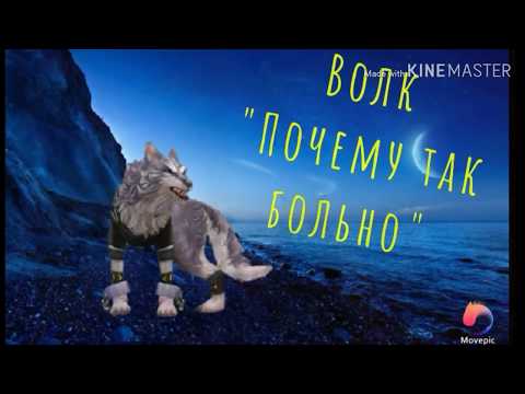 Видео: Музыка в головах животных WildCraft