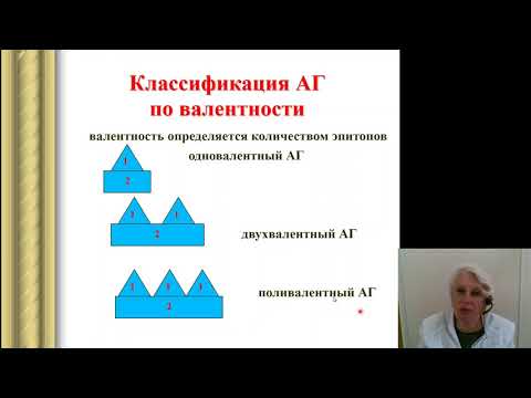 Видео: Иммунология 1.Антигены Антитела Главный комплекс гистосовместимости